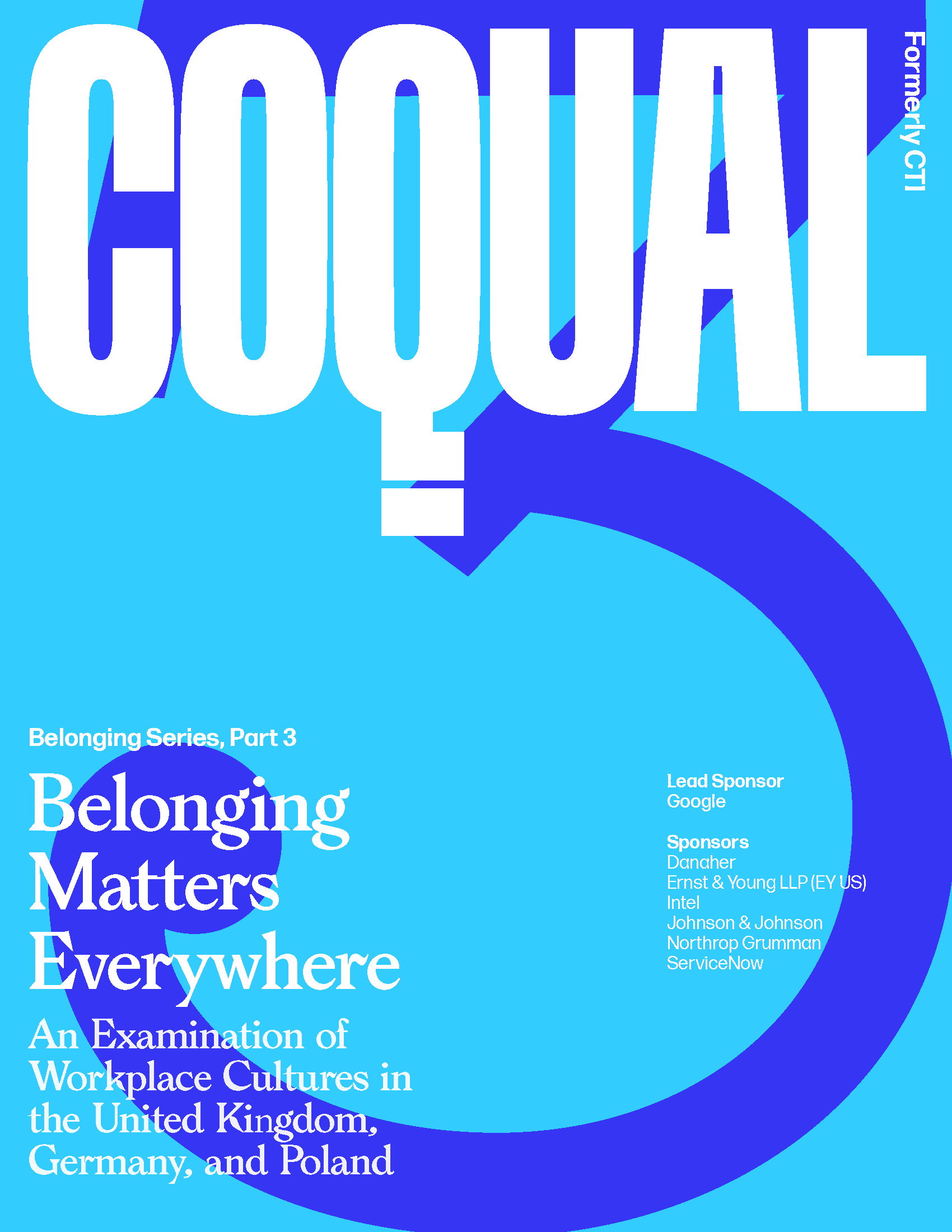 Cover of Belonging Matters Everywhere: An Examination of Workplace Cultures in the UK, Germany, and Poland