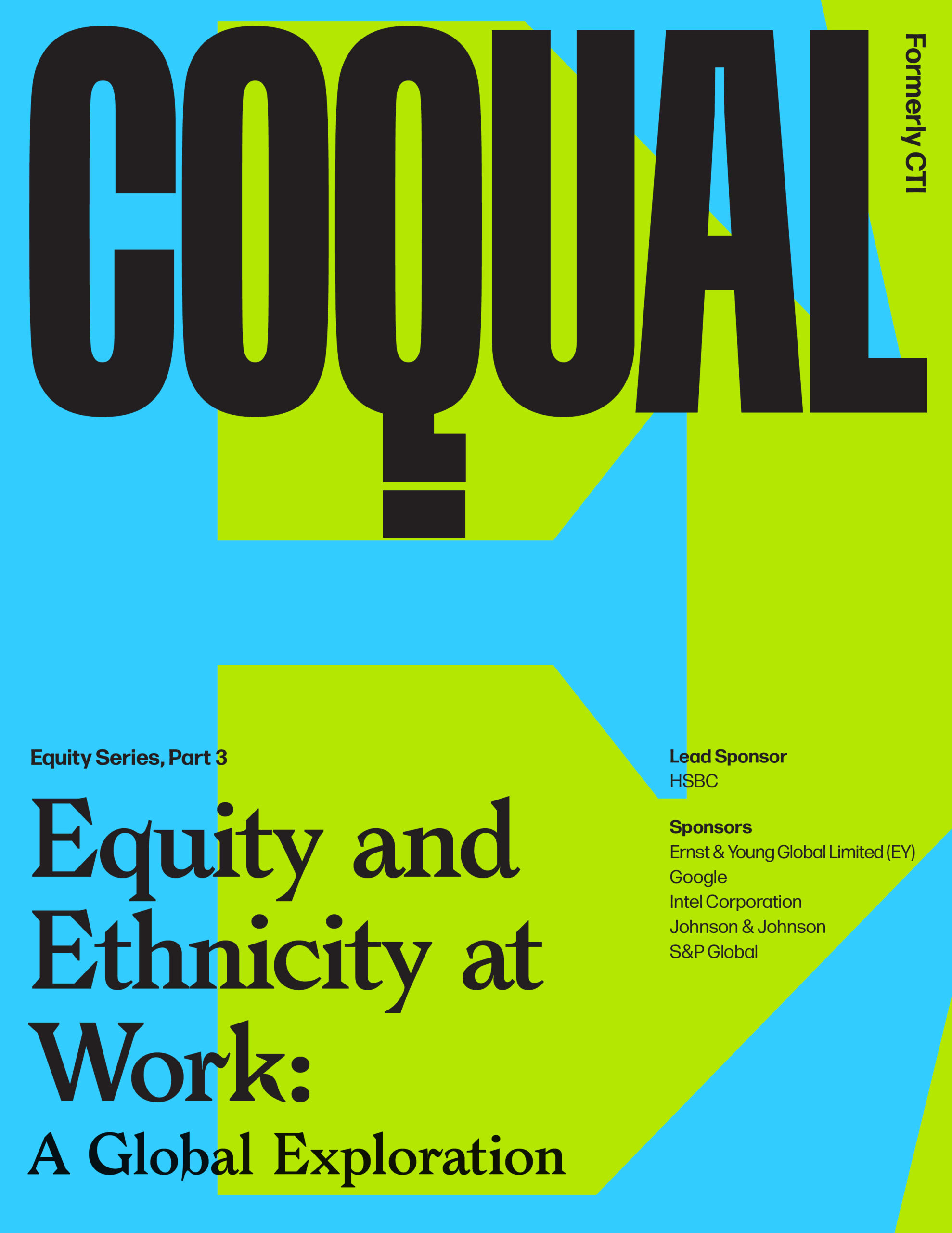 Cover of Equity and Ethnicity at Work: A Global Exploration